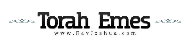 Rav Joshua